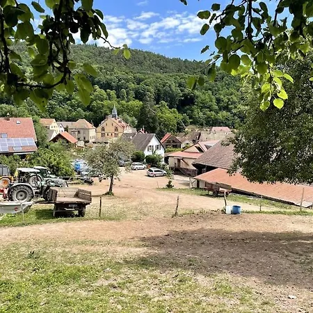 Le Greenstairs - Ranch Du Laubenrain Apartment