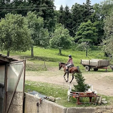 호텔 Le Greenstairs - Ranch Du Laubenrain